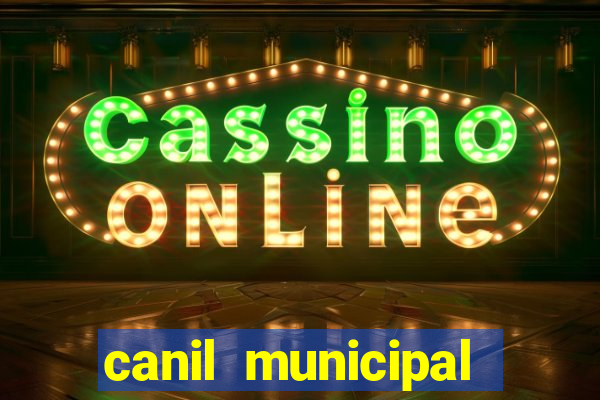 canil municipal porto alegre